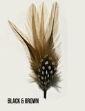 Stetson Feathers  4 Inch" Length - Chicano Spot