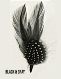 Stetson Feathers  4 Inch" Length - Chicano Spot