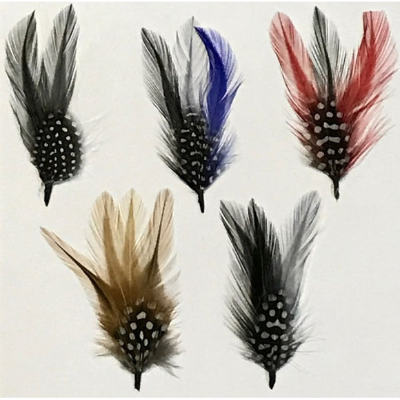 Stetson Feathers  4 Inch